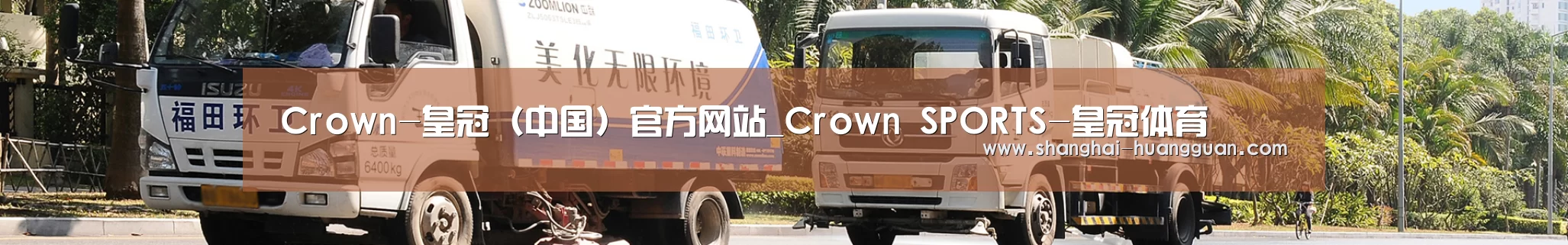 成功案例