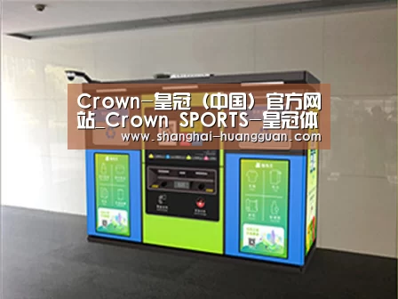 成功案例标题四