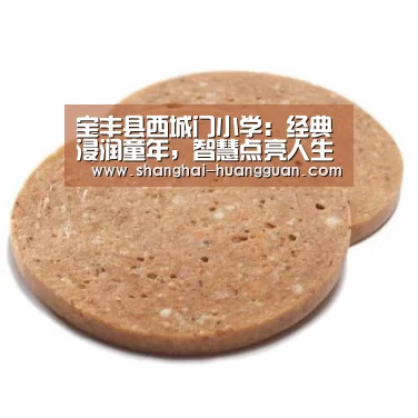 宝丰县西城门小学：经典浸润童年，智慧点亮人生‘Crown’